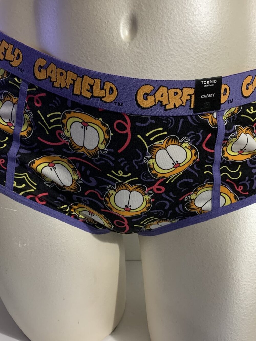 Torrid Cheeky Panties Underwear Garfield Jim Davis Cat Nickelodeon Plus 6 30